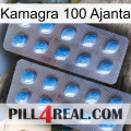 Kamagra 100 Ajanta viagra4